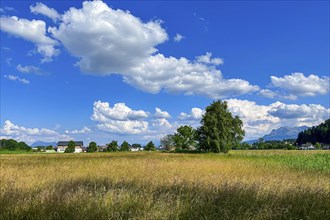 Idyllic landscape with fields, houses and trees under a clear blue sky with scattered clouds,