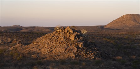 Barren landscape with rocky hills and acacias, African savannah at sunset, Hobatere Concession,