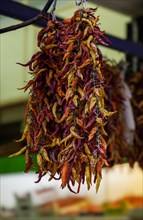Market stall with dried chilli peppers, Sorrento, Campania, Italy, Europe