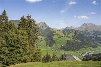 Alpine landscape with green meadows, villages and wooded mountains under a blue sky, mountain