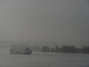 A ship sails on a river in foggy weather, surrounded by water and dense nature, ships on the rhine
