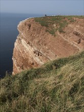 A high cliff rises steeply above the sea, with a breathtaking view, Heligoland, Germany, Europe