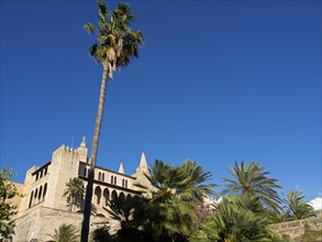Castle with palm trees and green plants in front of a clear blue sky, palma de Majorca with its