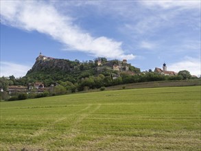 Meadow, Riegersburg Castle in the background, near Riegersburg, Styria, Austria, Europe