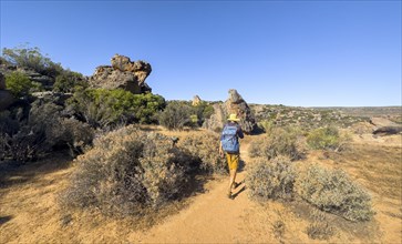 Hikers on the Seville Art Rock Trail, dry landscape with rock formations, Cederberg Mountains, near