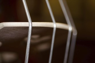Close Up on a String on a Music Instrument Violoncello in Switzerland