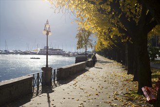 Beautiful Walkway on the Waterfront to Lake Maggiore in Autumn with Yellow Trees in a Sunny Day
