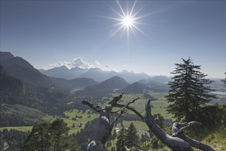 Neuschwanstein Castle, Hohenschwangau near Fuessen, Ostallgaeu, Allgaeu, Bavaria, Germany, Europe