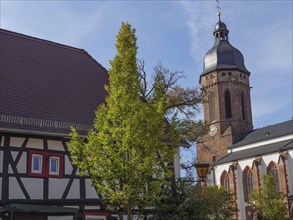 A half-timbered house with a tree in the foreground and a church with gothic architecture in the