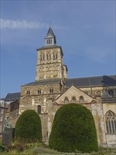 Large historic church building with a tower surrounded by two green clipped bushes against a blue