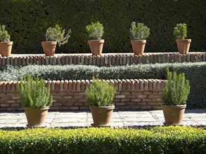 Terracotta pots with green plants on a stepped wall, surrounded by a well-kept hedge, the historic