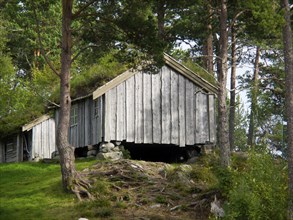 Rustic wooden hut with grass roof in the forest, surrounded by tall trees, grey wooden houses in