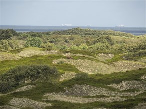 Hilly landscape with dense greenery and the sea in the background, expansive nature, Spiekeroog,