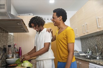 Multi-ethnic gay male couple preparing healthy salad standing in the kitchen at home
