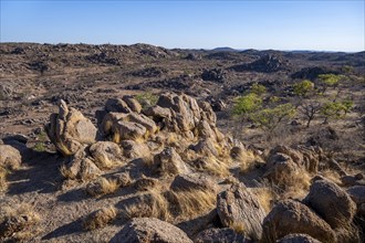 Barren landscape with rocky hills and acacias, African savannah in the evening light, Hobatere