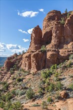 Red rock sandstone formations of Sedona, Arizona, United States of America, USA, North America