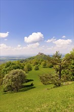 Hohenzollern Castle near Hechingen, blue cloudy sky, Zollernalbkreis, Swabian Alb,