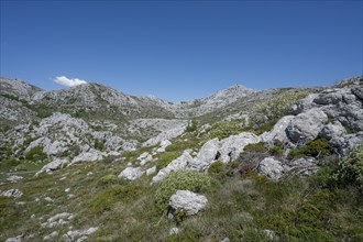 Velebit Mountains in Paklenica National Park, Zadar, Dalmatia, Croatia, Europe