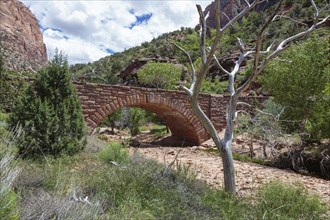 Stone arched bridge over dry Pine Creek in Zion National Park, Utah, United States of America, USA,