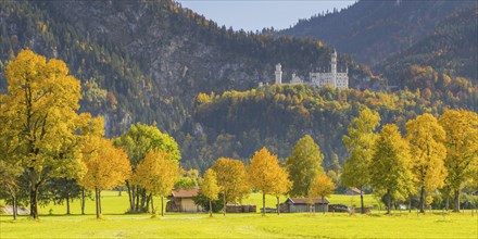 Neuschwanstein Castle near Hohenschwangau, Romantic Road, Ostallgaeu, Bavaria, Germany, Europe