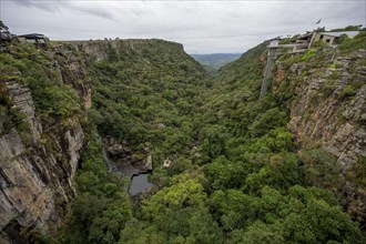 Lift to the Graskop Gorge or Graskopkloof, view from the plateau to the Graskop Gorge with dense