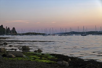 Sailboats on a calm loch at sunset with a rocky coastline and pastel coloured sky in the