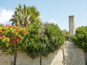 An ancient stone relief and a column are surrounded by blossoming vegetation and a clear sky, Tunis