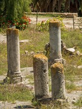 Ancient stone pillars of ruins surrounded by vegetation and grasses, Tunis in Africa with Roman