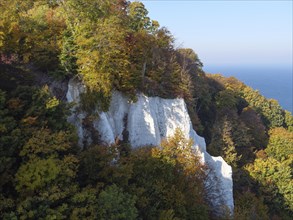 White cliffs surrounded by autumn-coloured trees and a view of the sea, chalk cliffs on the blue