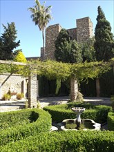 A peaceful garden with a fountain amidst high old walls and a large palm tree, all under a clear