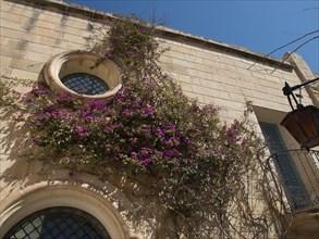 A stone building with two round windows, surrounded by ivy and purple flowers under a blue sky, the