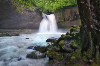 Waterfall in the forest, Kemptnertobel near Wetzikon, Canton Zurich, Switzerland, Europe
