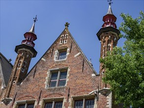 Buildings with red bricks, towers and pointed roofs and a tree in the foreground, historic houses