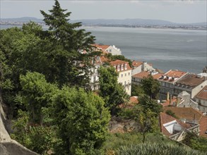 Panoramic view of a coastal town surrounded by trees and nature, Lisbon, Portugal, Europe