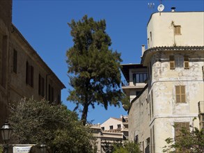 A scene of an old town with houses, a tree and a clear blue sky, palma de mallorca on the