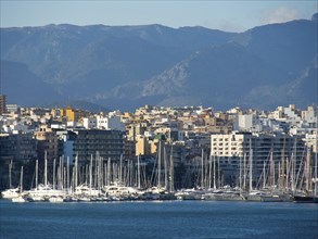 Urban skyline with many boats against a mountain backdrop, palma de mallorca on the mediterranean