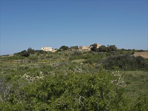 Green landscape with scattered houses under a bright blue sky, the island of Gozo with historic