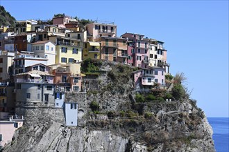 Manarola village, Cinque Terre, Ligurian sea, Liguria, Italy, Europe