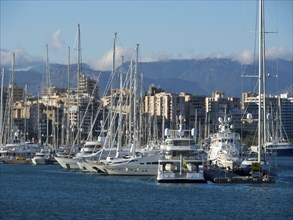 Marina with boats and skyscrapers against a mountain backdrop, palma de mallorca on the