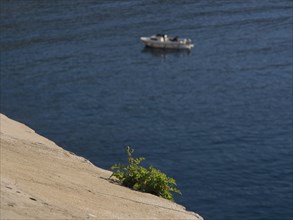 Small plant on a sandy rock and a blurred boat on the calm blue sea, the old town of Dubrovnik with