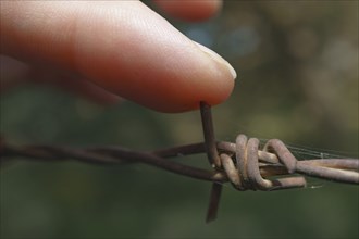 Close-up of a woman stabbing her finger with rusty barbed wire