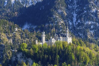 Neuschwanstein Castle in spring, Schwangau, Ostallgaeu, Allgaeu, Swabia, Upper Bavaria, Bavaria,