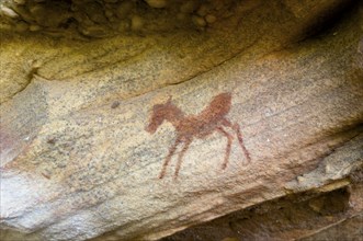 Prehistoric animal depiction on a rock, San rock paintings, Sevilla Art Rock Trail, Cederberg