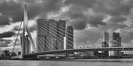 Nieuwe Maas with Erasmus Bridge and skyscrapers, Rotterdam, South Holland, Netherlands