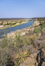 View over dry African savannah, Olifants River, Kruger National Park, South Africa, Africa