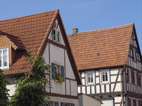 Two half-timbered houses with tiled roofs, one with green plants at the window, under a blue sky,