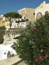 Mediterranean houses and gardens with flowering shrubs in front of a stone wall, The volcanic