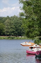 Colourful boats on a peaceful lake surrounded by lush green trees on a summer day, small lake with