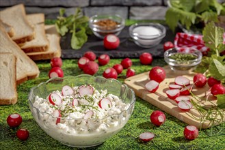Healthy spread of radishes, cottage cheese and herbs surrounded by ingredients and slices of bread