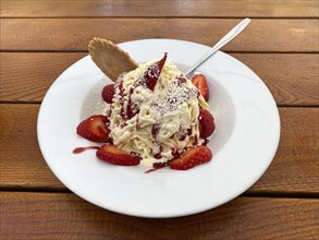 Spaghetti ice cream with strawberries, waffle, spoon, plate, food, Leipzig, Saxony, Germany, Europe